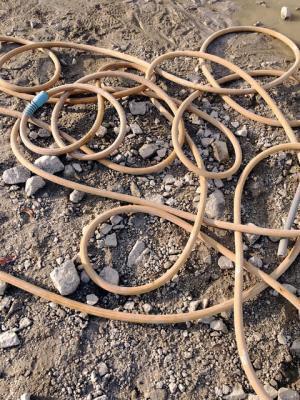 【ルック】mame2016-17秋冬コレクション