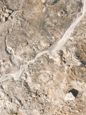 【ルック】mame2016-17秋冬コレクション