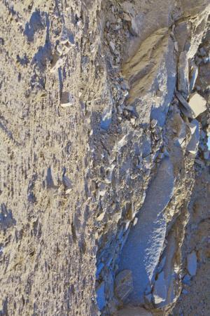 【ルック】mame2016-17秋冬コレクション