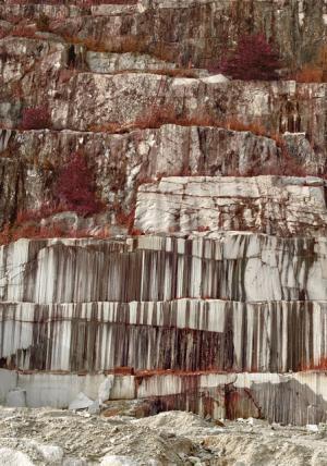 【ルック】mame2016-17秋冬コレクション