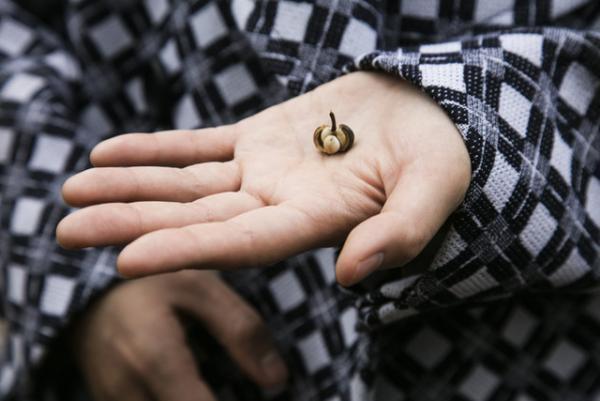 ミュウミュウのショートフィルムプロジェクト第11弾『SEED』公開。監督は河瀬直美、音楽はサカナクション