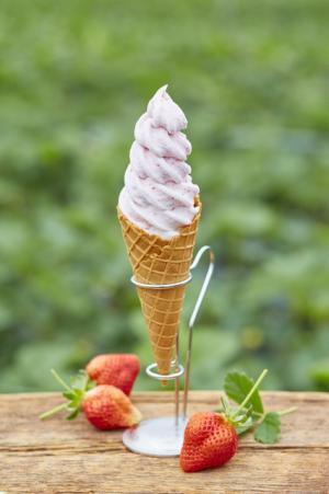 九州にある島々のグルメが梅田阪急に集合！糸島発のあまおうスイーツで春を味わう