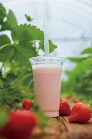 九州にある島々のグルメが梅田阪急に集合！糸島発のあまおうスイーツで春を味わう