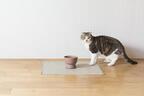 2月22日“猫の日”に捧げる、猫のための陶器。徳島の老舗窯元と開発した猫用水飲み器が誕生