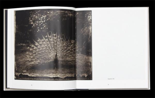 名だたるメゾンの広告を手掛けた、元モデルのファッション写真家サラ・ムーンの新刊写真集【NADiffオススメBOOK】