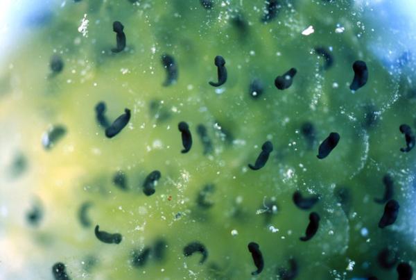 24時間・365日を時という視点で、世界を見つめる「時間をめぐる、めぐる時間の展覧会」開催