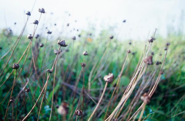 24時間・365日を時という視点で、世界を見つめる「時間をめぐる、めぐる時間の展覧会」開催