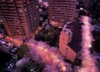 “全長約1kmの桜トンネル”でライトアップやお祭り。赤坂アークヒルズ開業30周年記念イベント開催