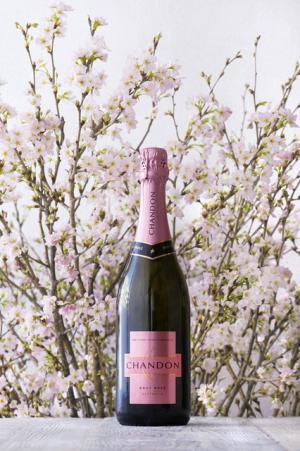 桜の名所をシャンパン片手にめぐる「お花見 CHANDON」、今年も中目黒に期間限定バー