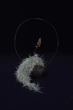 緒方慎一郎と川本諭による二人展「拈華」、“八雲茶寮に草木花をどう設えるか？”