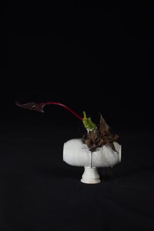 緒方慎一郎と川本諭による二人展「拈華」、“八雲茶寮に草木花をどう設えるか？”