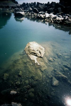 写真家・上田義彦の生徒6名による初個展がギャラリー916で開催