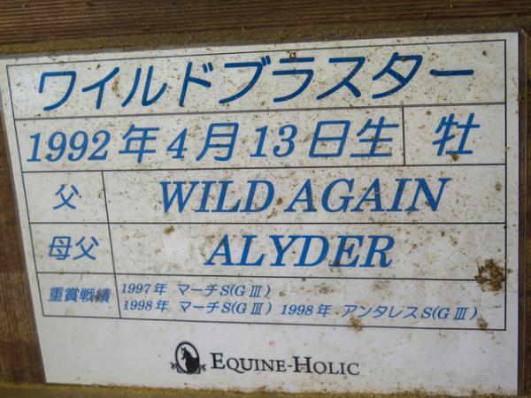 澄み渡る富士の麓で、サラブレッドに乗る―朝霧高原「エクインホリック」【富士の旅vol.2】