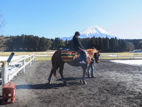 澄み渡る富士の麓で、サラブレッドに乗る―朝霧高原「エクインホリック」【富士の旅vol.2】