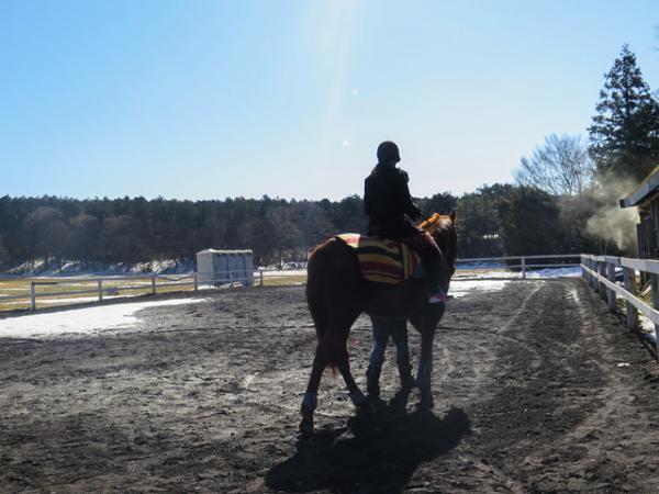 澄み渡る富士の麓で、サラブレッドに乗る―朝霧高原「エクインホリック」【富士の旅vol.2】