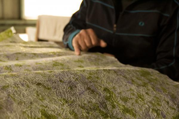 因州和紙・中原商店「伝統と伝承は違う」―リトゥン山縣さんと故郷・鳥取を訪ねる【鳥取の旅 vol.1】