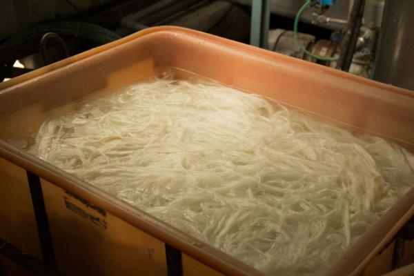 因州和紙・中原商店「伝統と伝承は違う」―リトゥン山縣さんと故郷・鳥取を訪ねる【鳥取の旅 vol.1】