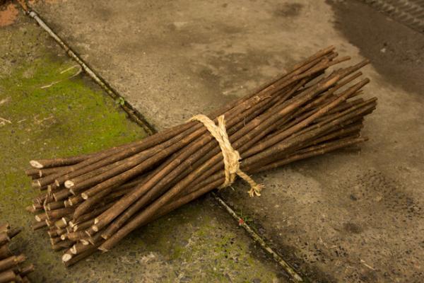 因州和紙・中原商店「伝統と伝承は違う」―リトゥン山縣さんと故郷・鳥取を訪ねる【鳥取の旅 vol.1】