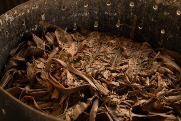 因州和紙・中原商店「伝統と伝承は違う」―リトゥン山縣さんと故郷・鳥取を訪ねる【鳥取の旅 vol.1】