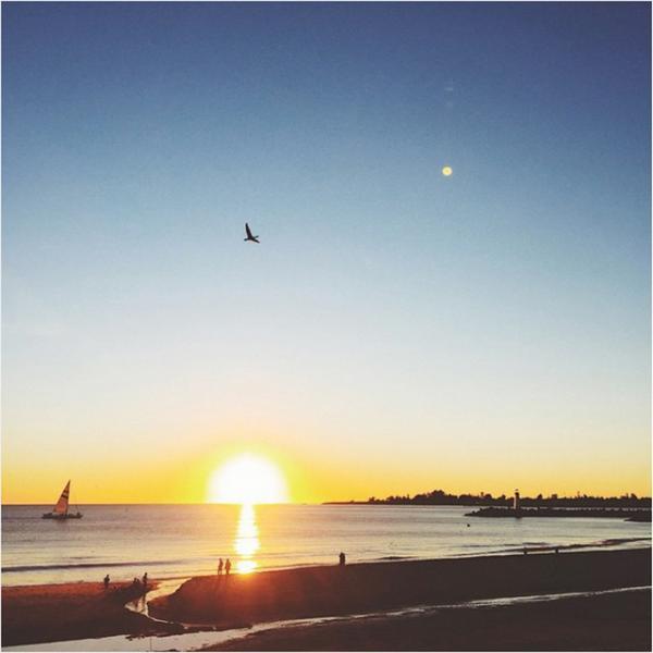 サンタクルーズ発ヴァーヴ コーヒー ロースターズが日本初上陸、1号店は新宿ニュウマンへ