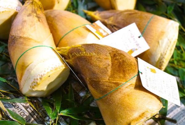 新宿伊勢丹で“お花見”感じる京都展スタート。舞妓はんお気に入りパフェ、絶品下鴨茶寮弁当も！