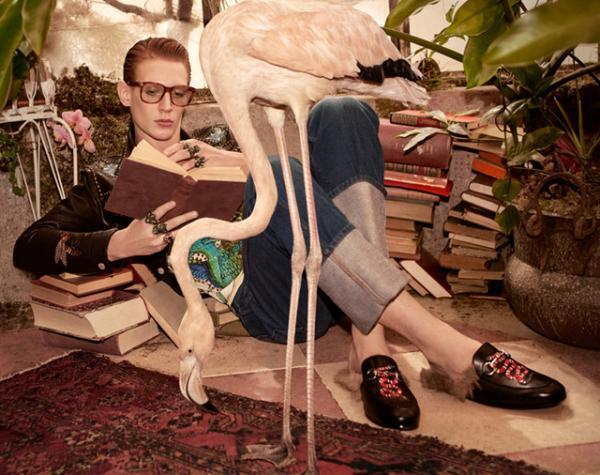 グッチ、16年プレフォールの広告ビジュアル＆ムービーを公開。舞台はトロピカルなバードケージ