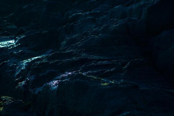 【Photo Diary：永瀬沙世】東京から思う故郷