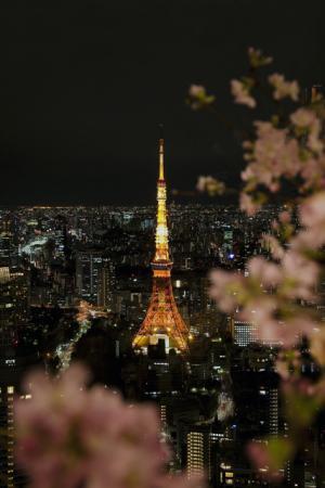 アンダーズ 東京のルーフトップでお花見。桜にちなんだスイーツやカクテルも登場