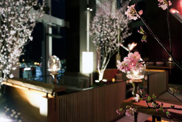 アンダーズ 東京のルーフトップでお花見。桜にちなんだスイーツやカクテルも登場