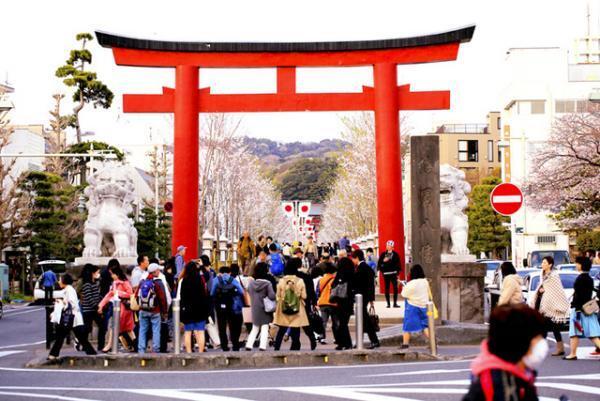 ナッツ専門店グルーヴィナッツが鎌倉に2号店をオープン、ご当地フレーバー“バーニャカウダナッツ”など