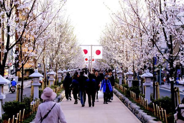 ナッツ専門店グルーヴィナッツが鎌倉に2号店をオープン、ご当地フレーバー“バーニャカウダナッツ”など