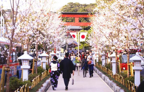 ナッツ専門店グルーヴィナッツが鎌倉に2号店をオープン、ご当地フレーバー“バーニャカウダナッツ”など