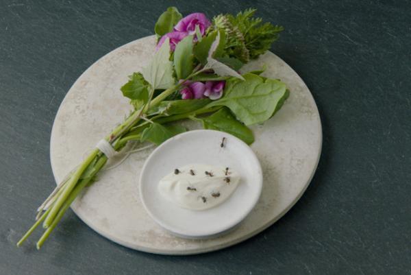 天才シェフ・レネ・レゼピの映画『ノーマ、世界を変える料理』×パスザバトンのコラボ企画スタート