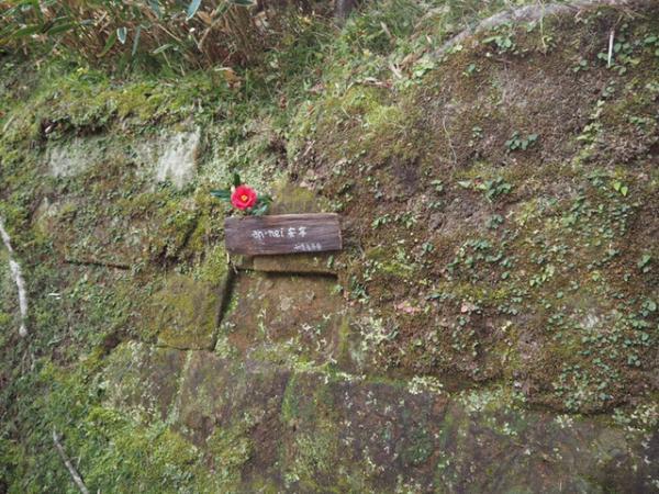 三越伊勢丹が公式インスタグラマーに14歳のファッショニスタMAPPYを起用