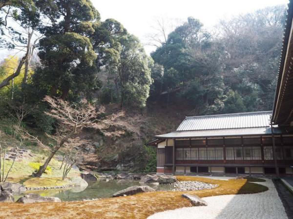 三越伊勢丹が公式インスタグラマーに14歳のファッショニスタMAPPYを起用