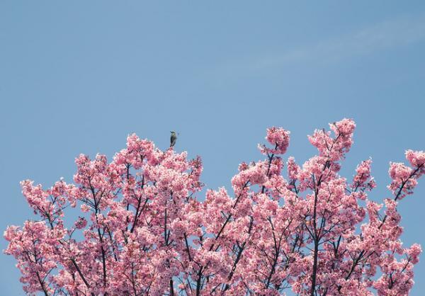 これからのファッションをもっと楽しく。東京で近未来を感じる【±20 ReStyle Day:2】