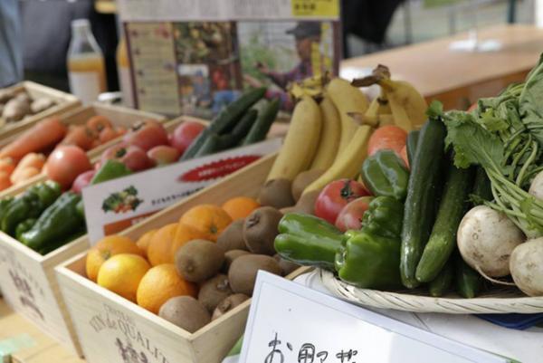 GWは東京でオーガニックライフを楽しむ！ヨガ、クラフトビール、無農薬野菜が集まるイベント開催