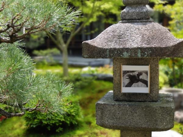 「KYOTOGRAPHIE2016」「オーダーメイド：それぞれの展覧会」と5月の京都はファッション関連アートイベントが充実