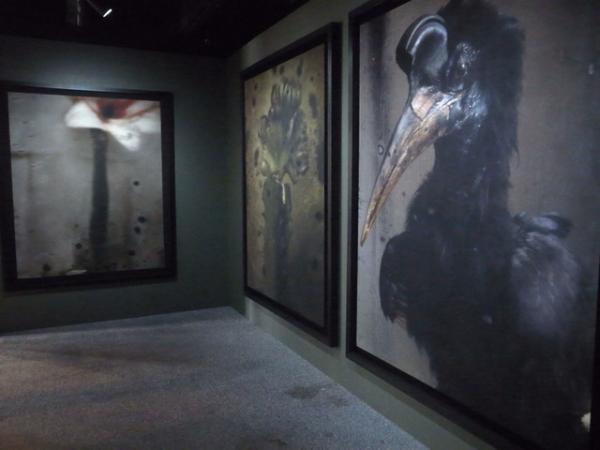 「KYOTOGRAPHIE2016」「オーダーメイド：それぞれの展覧会」と5月の京都はファッション関連アートイベントが充実