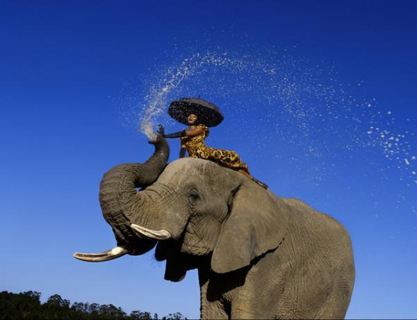 ファッション界きってのイメージメーカー、ジャン＝ポール・グード展がミラノで開催中