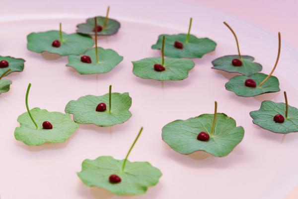 レクサス、世界を魅了したインスタレーションを青山で。 “水素”から着想を得た“おもてなし”の思想を体験