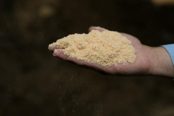 サスティナブルな社会科見学はじめます！奈良・吉野の間伐材が京都のホテルの酵素浴に。循環する木の物語