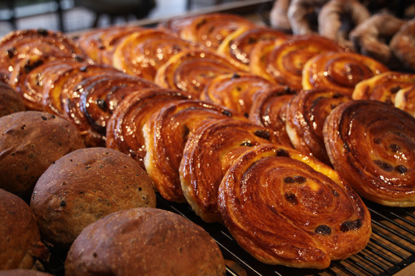 TSUTAYA誕生の地に“毎日行きたくなる”国内最大規模の「T-SITE」オープン！デジタルを駆使したサービスやママとキッズに嬉しいフロアも