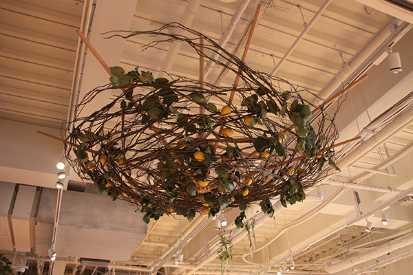 TSUTAYA誕生の地に“毎日行きたくなる”国内最大規模の「T-SITE」オープン！デジタルを駆使したサービスやママとキッズに嬉しいフロアも