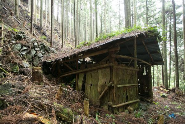 【サスティナブルな社会科見学】3世代先の森林を守る山守の仕事。循環する木の物語--vol.1
