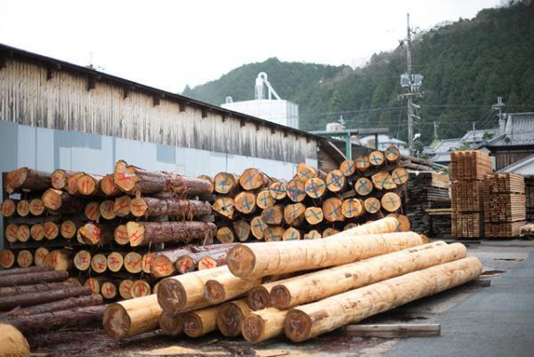 【サスティナブルな社会科見学】 江戸時代から愛される吉野杉のふるさとで原木市と製材所を訪ねる。循環する木の物語--vol.2
