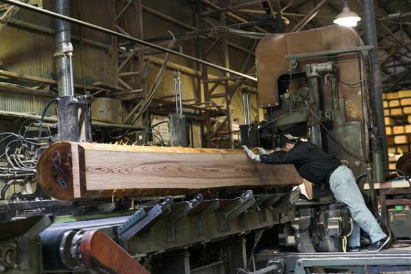 【サスティナブルな社会科見学】 江戸時代から愛される吉野杉のふるさとで原木市と製材所を訪ねる。循環する木の物語--vol.2