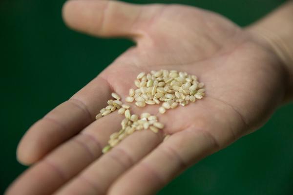 【サスティナブルな社会科見学】吉野の風土で、ここでしかしか作れない酒を。循環する木の物語--vol.3