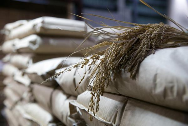 【サスティナブルな社会科見学】吉野の風土で、ここでしかしか作れない酒を。循環する木の物語--vol.3