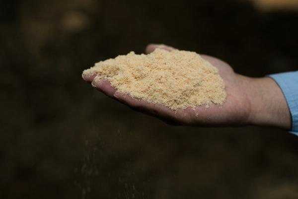 【サスティナブルな社会科見学】手作業で生まれた天然ヒノキパウダーで身体を芯から温める酵素浴に。循環する木の物語--vol.4